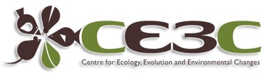 cE3c