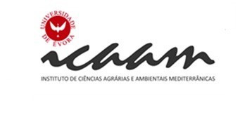 ICAAM